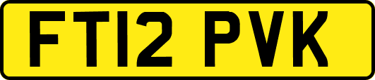 FT12PVK