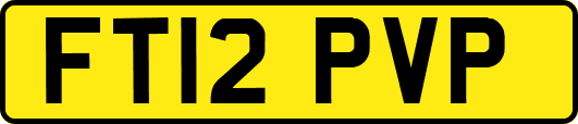 FT12PVP
