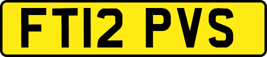 FT12PVS