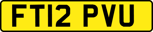 FT12PVU