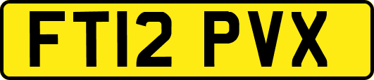 FT12PVX