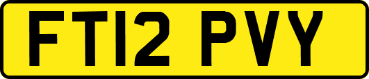 FT12PVY