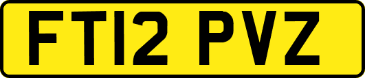 FT12PVZ