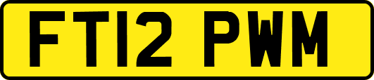 FT12PWM