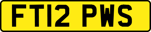 FT12PWS