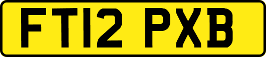 FT12PXB