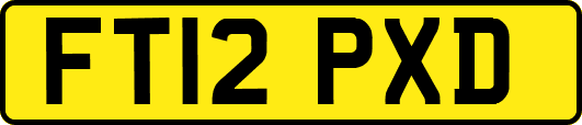 FT12PXD