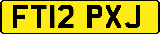 FT12PXJ