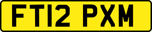 FT12PXM