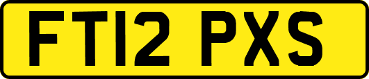 FT12PXS