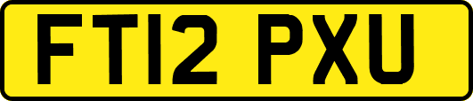 FT12PXU