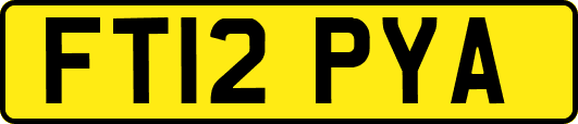 FT12PYA