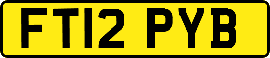 FT12PYB
