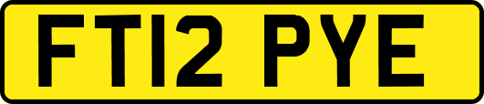 FT12PYE