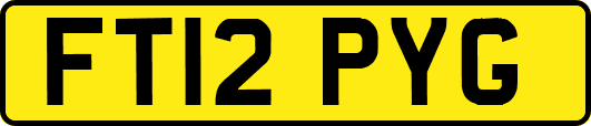 FT12PYG