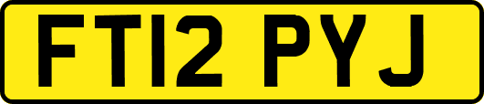 FT12PYJ