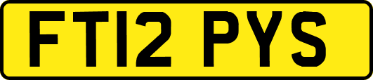 FT12PYS