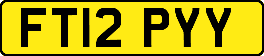 FT12PYY