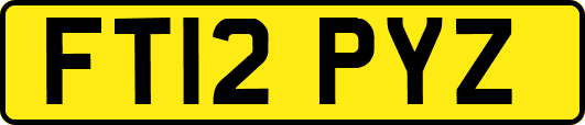 FT12PYZ