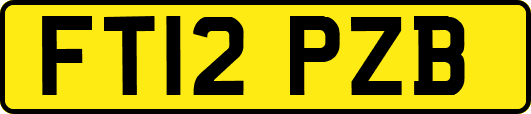 FT12PZB