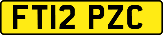 FT12PZC