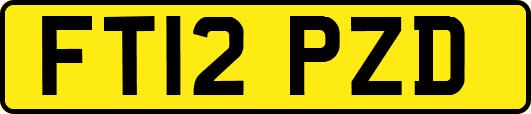 FT12PZD