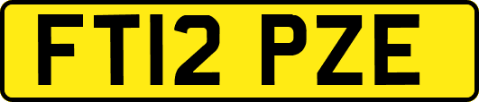 FT12PZE