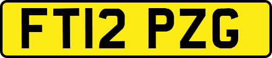 FT12PZG
