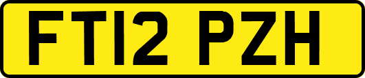 FT12PZH