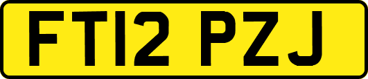 FT12PZJ