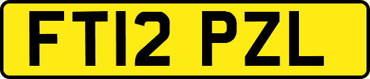 FT12PZL