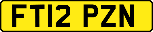 FT12PZN