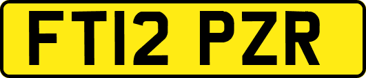 FT12PZR