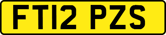 FT12PZS