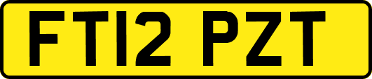 FT12PZT