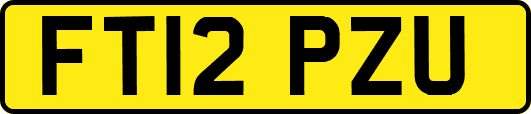 FT12PZU