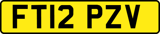 FT12PZV