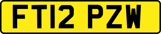 FT12PZW