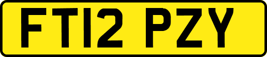 FT12PZY