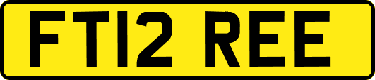 FT12REE