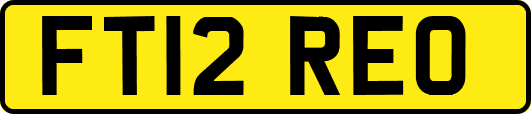 FT12REO