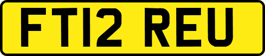 FT12REU