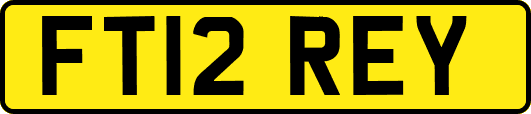 FT12REY