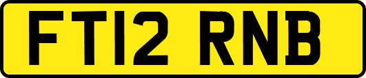 FT12RNB