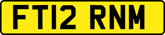 FT12RNM