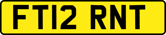 FT12RNT