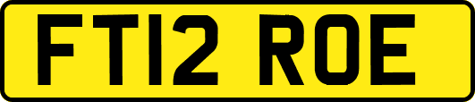 FT12ROE