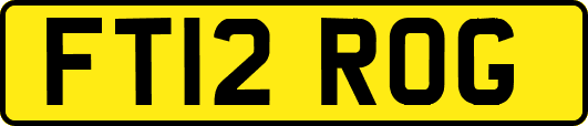 FT12ROG