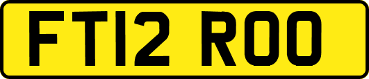 FT12ROO
