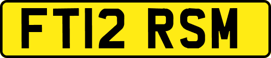 FT12RSM